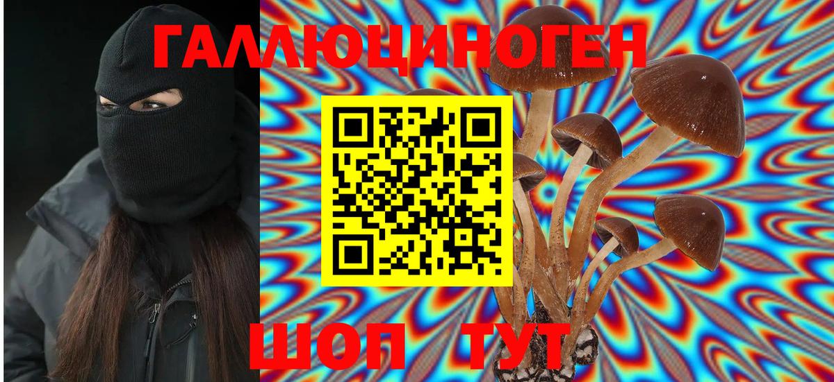Галлюциногенные грибы Magic Shrooms  Вход с VPN  Красноуфимск 